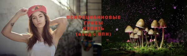 гидропоника Алексеевка