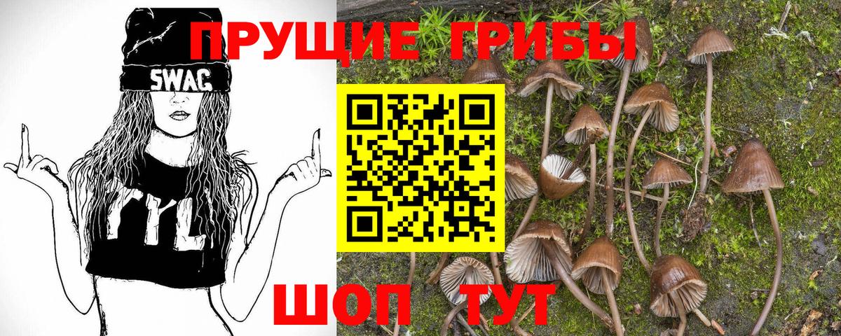Галлюциногенные грибы GOLDEN TEACHER Узловая